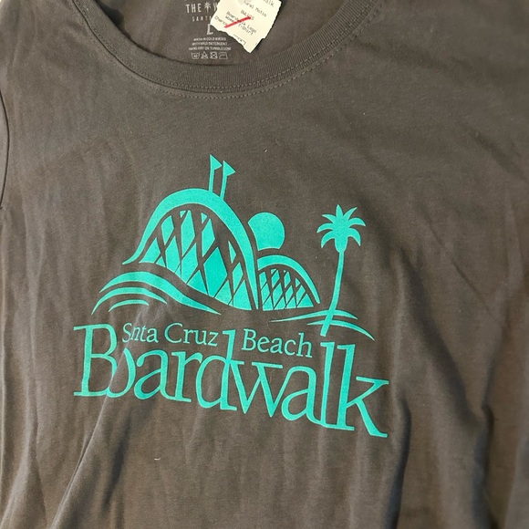 FREE WITH BUNDLE Santa Cruz Gray Tee with Teal Print - Picture 2 of 6